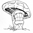 ca5